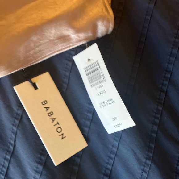 Babaton Lato Dress in Fawn Pink - Picture 4 of 4